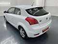 Kia ProCeed / pro_cee'd pro cee'd 1,6 CRDi Motion * SOFORT FINANZIERUNG... Blanc - thumbnail 3