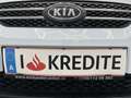 Kia ProCeed / pro_cee'd pro cee'd 1,6 CRDi Motion * SOFORT FINANZIERUNG... Blanc - thumbnail 14