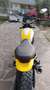 Ducati Scrambler icon yellow Giallo - thumbnail 11
