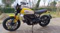 Ducati Scrambler icon yellow Giallo - thumbnail 2