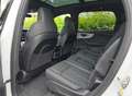 Audi Q7 Q7 3.0 tdi mhev S Line quattro 286cv New Facelift Blanc - thumbnail 10