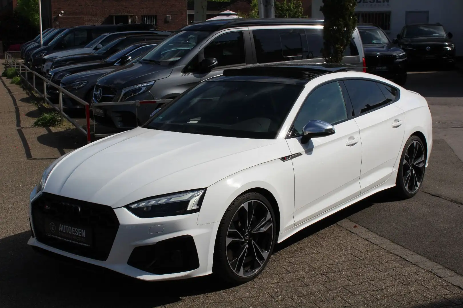 Audi S5 Sportback 55 TDI Quattro+PANO+KAMERA+AMBIENTE Bílá - 1