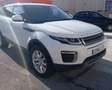 Land Rover Range Rover Evoque 2.0TD4 SE Dynamic 4WD 150 - thumbnail 5