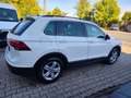 Volkswagen Tiguan Tiguan Diesel 2.0 TDI SCR 4Motion (BlueMotion Tec Weiß - thumbnail 22