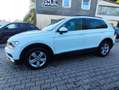 Volkswagen Tiguan Tiguan Diesel 2.0 TDI SCR 4Motion (BlueMotion Tec Weiß - thumbnail 13
