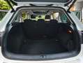 Volkswagen Tiguan Tiguan Diesel 2.0 TDI SCR 4Motion (BlueMotion Tec Weiß - thumbnail 6