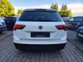 Volkswagen Tiguan Tiguan Diesel 2.0 TDI SCR 4Motion (BlueMotion Tec Weiß - thumbnail 11