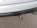 Renault Koleos dCi 175 4WD Initiale X-Tronic Aut. Weiß - thumbnail 19