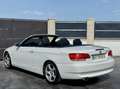 BMW 320 320i Cabrio Blanco - thumbnail 5