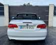 BMW 320 320i Cabrio Blanco - thumbnail 4