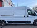 Fiat Ducato 2.3 MTJ Blanc - thumbnail 4