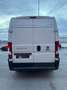 Fiat Ducato 2.3 MTJ Blanc - thumbnail 7