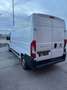Fiat Ducato 2.3 MTJ Blanc - thumbnail 10