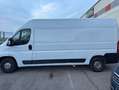 Fiat Ducato 2.3 MTJ Blanc - thumbnail 11