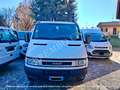 Iveco Daily 35 2.3 Hpt PM-DC Cabinato Bianco - thumbnail 4