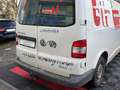 Volkswagen T5 Kastenwagen Weiß - thumbnail 12