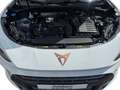 CUPRA Terramar 1.5eTSI DSG HD-MATRIX NAVI DCC HEAD-UP ACC TOP VIE Wit - thumbnail 9