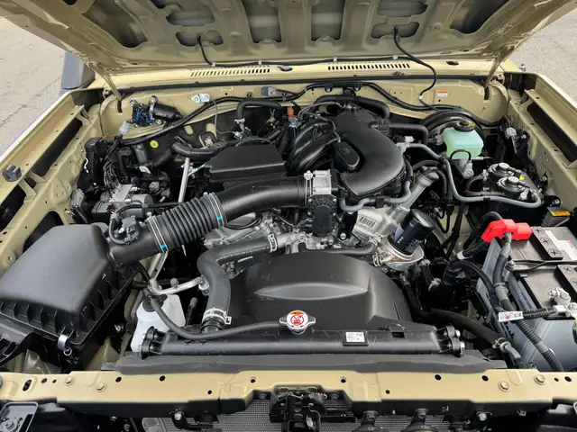 Toyota Land Cruiser GRJ 79 DC LX 40th Automatik SOFORT Ansicht 11