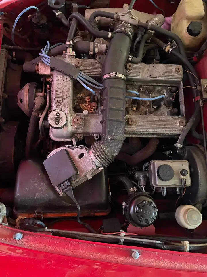 ALFA ROMEO SPIDER – Klassieke opknapper, foto 6
