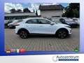 Kia XCeed 1.6 GDI DCT6 Plug-in-Hybrid LEDER*NAVI*LED Weiß - thumbnail 20