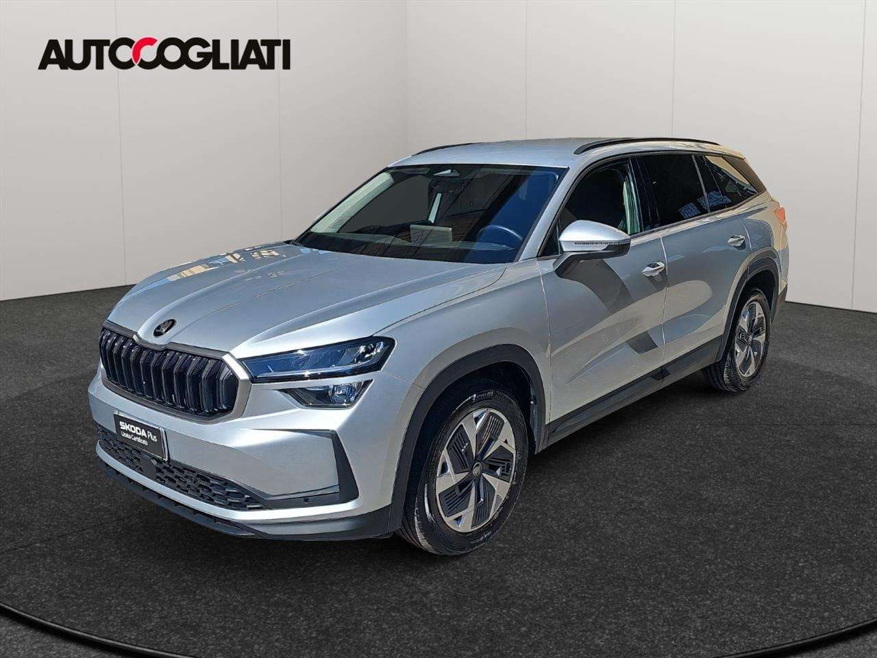 Skoda Kodiaq Kodiaq 2.0 TDI EVO Executive DSG 7 Posti 150 CV