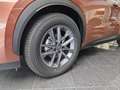 Lexus LBX 1,5 FWD Komfort Paket Rot - thumbnail 18