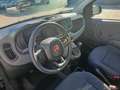 Fiat Panda 1.0 FireFly S&S Hybrid Nero - thumbnail 12