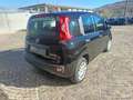 Fiat Panda 1.0 FireFly S&S Hybrid Nero - thumbnail 5