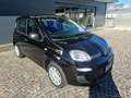 Fiat Panda 1.0 FireFly S&S Hybrid Nero - thumbnail 3