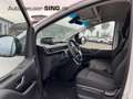 Hyundai STARIA Cargo 177PS Tempomat Kamera Klima Carplay Weiß - thumbnail 10