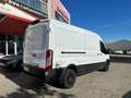 Ford Transit 350 96kW L3H2 Van Ambiente FWD MHEV Wit - thumbnail 4