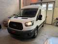 Ford Transit IVA INCLUSA! 2.0TDCi EcoBlue 130CV Weiß - thumbnail 3