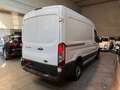 Ford Transit IVA INCLUSA! 2.0TDCi EcoBlue 130CV Weiß - thumbnail 6