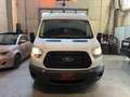 Ford Transit IVA INCLUSA! 2.0TDCi EcoBlue 130CV Weiß - thumbnail 2