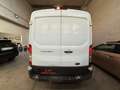 Ford Transit IVA INCLUSA! 2.0TDCi EcoBlue 130CV Weiß - thumbnail 5
