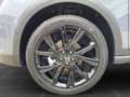 SEAT Arona FR Black Edition 1.0 TSI 116 DSG Navi/RFK/ Grau - thumbnail 8