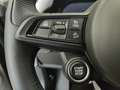 Alfa Romeo Stelvio 2.2 TD 210CV VELOCE AT8 Q4 Grau - thumbnail 14
