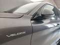 Alfa Romeo Stelvio 2.2 TD 210CV VELOCE AT8 Q4 Grau - thumbnail 33