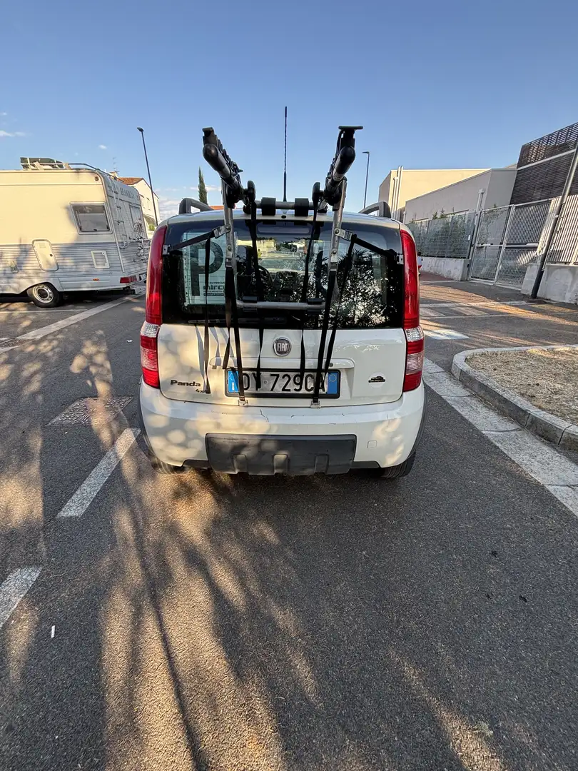 Fiat Panda 1.2 Climbing 4x4 - 2