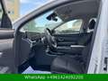 Hyundai TUCSON Hybrid KAMERA Blanco - thumbnail 11