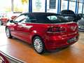 Volkswagen Golf VI Cabriolet 1.HAND/KLIMA/SHZ/PDC/MEDIA-IN Rot - thumbnail 8