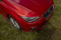 SEAT Ibiza 1.0 TSI 95pk FR Business Intense | Full LED, Navig Rood - thumbnail 19