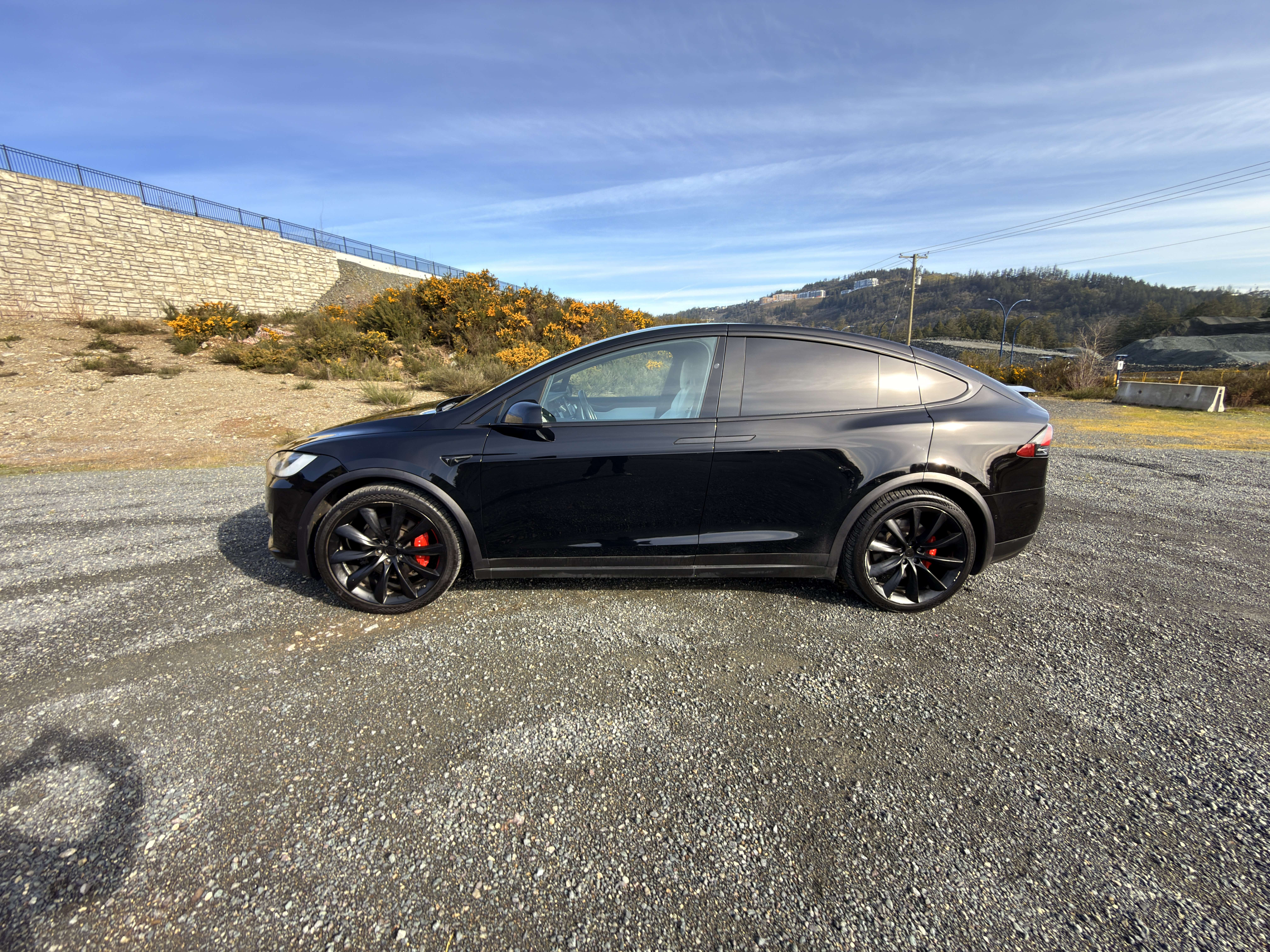 2018 Tesla Model X 75D AWD thumb 8