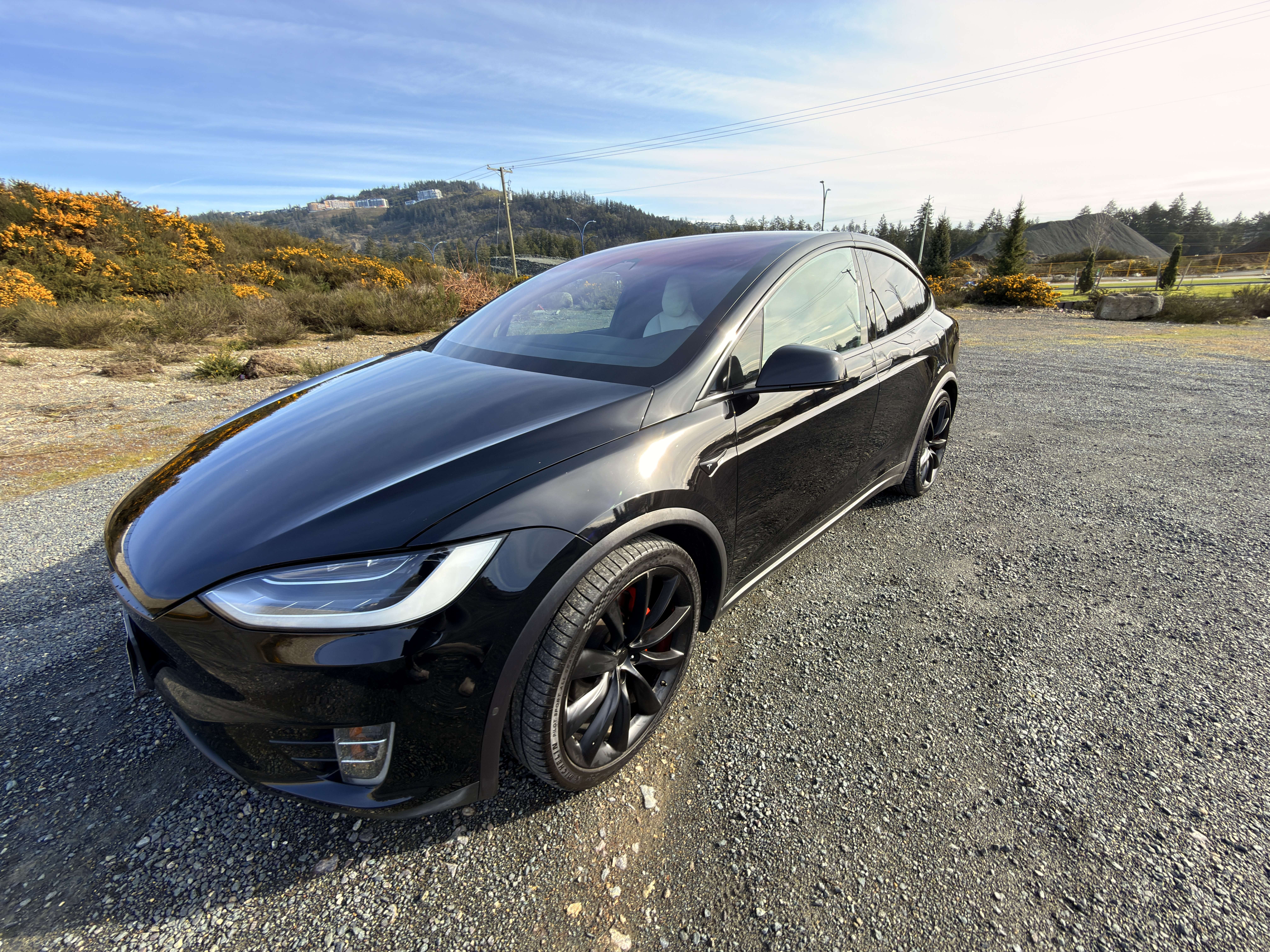 2018 Tesla Model X 75D AWD thumb 9