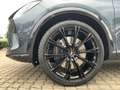 CUPRA Formentor VZ 2.0 TSI DSG 4Drive +ABT+AHK+MATRIX+ Grijs - thumbnail 13