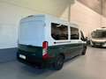 Ford Transit FT 350 L2 Van Trend 130 Blanco - thumbnail 2