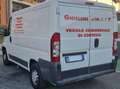 Citroen Jumper Blanc - thumbnail 5