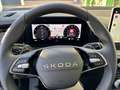 Skoda Kodiaq Kodiaq 1.5 MHEV Executive 150cv DSG 7 posti Gris - thumbnail 10