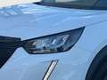 Peugeot 2008 PureTech 100 S ab ca. 120€ monatlich Blanco - thumbnail 12