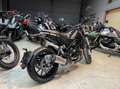 Benelli Leoncino 500 Groen - thumbnail 3